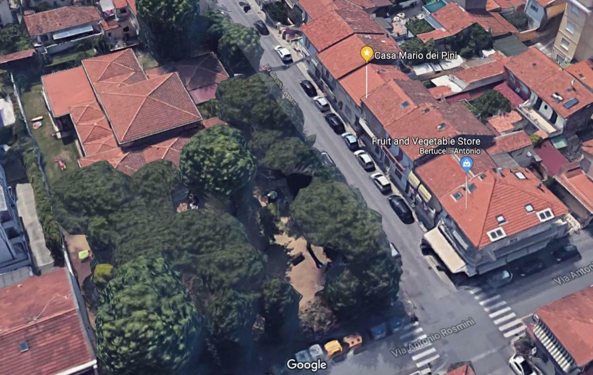 Casa Mario Dei Pini Villa Viareggio Eksteriør billede